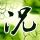 星际迷航2